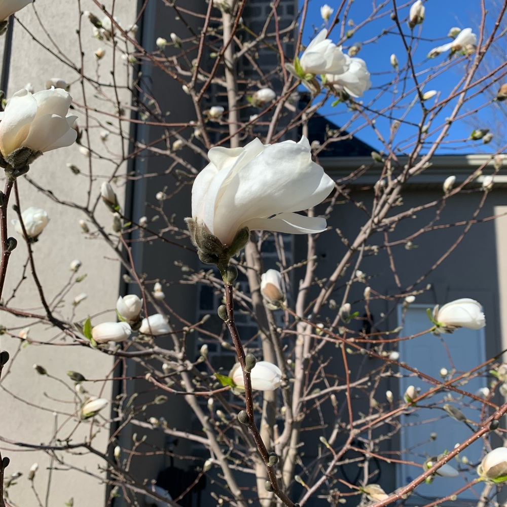 Meet your Posher, Rhea